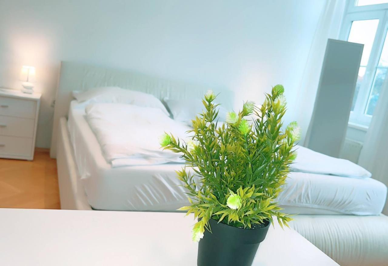 Deluxe Double Room Kp ウィーン エクステリア 写真